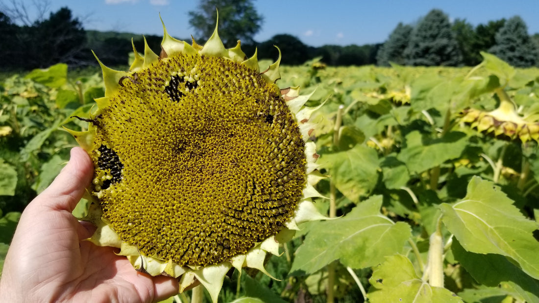 Events on a Mission: Four Years of Conservation Education Since Opening (Press Release)