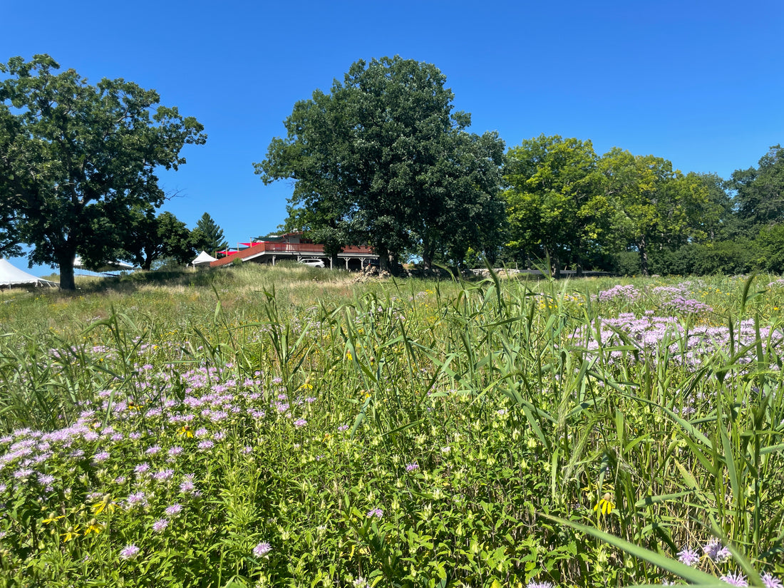 Press Release: Three Waters Reserve Open for Business