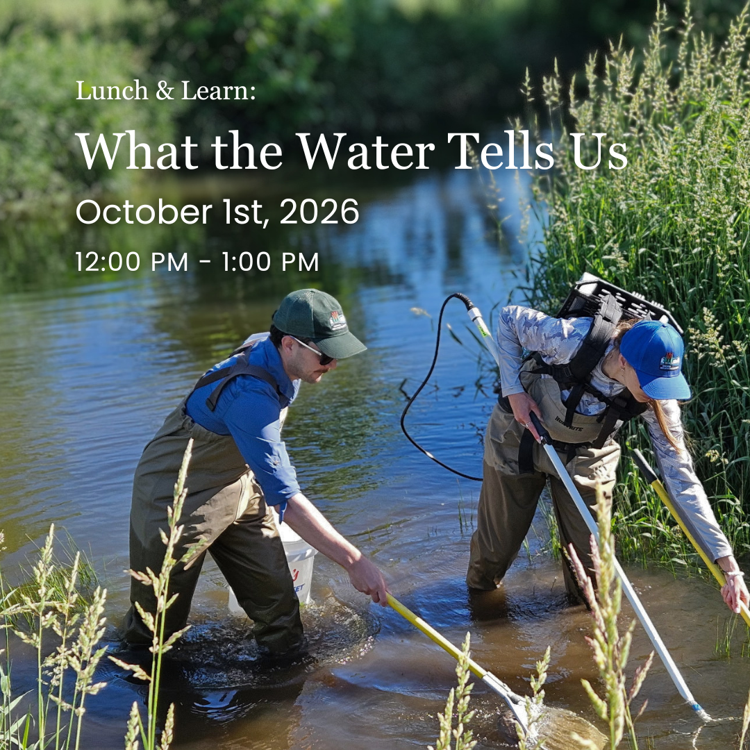 Lunch & Learn: What the Water Tells Us