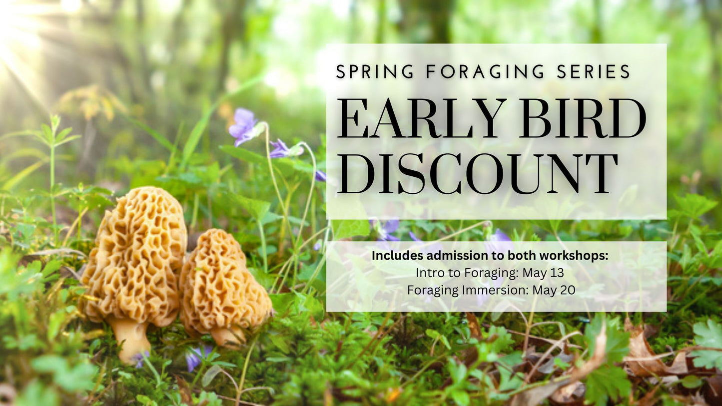 Spring Foraging Series: Early Bird Discount