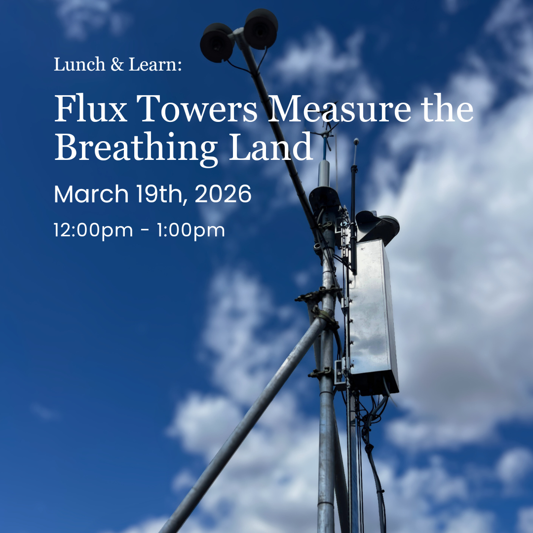 Lunch & Learn: Flux Towers Measure the Breathing Land