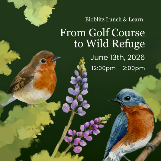 Lunch & Learn: From Golf Course to Wild Refuge (Bioblitz Lunch Ticket)