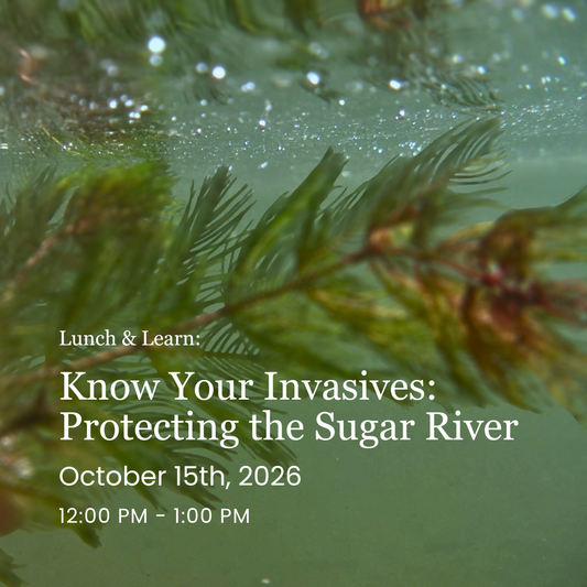 Lunch & Learn: Know Your Invasives - Protecting the Sugar River
