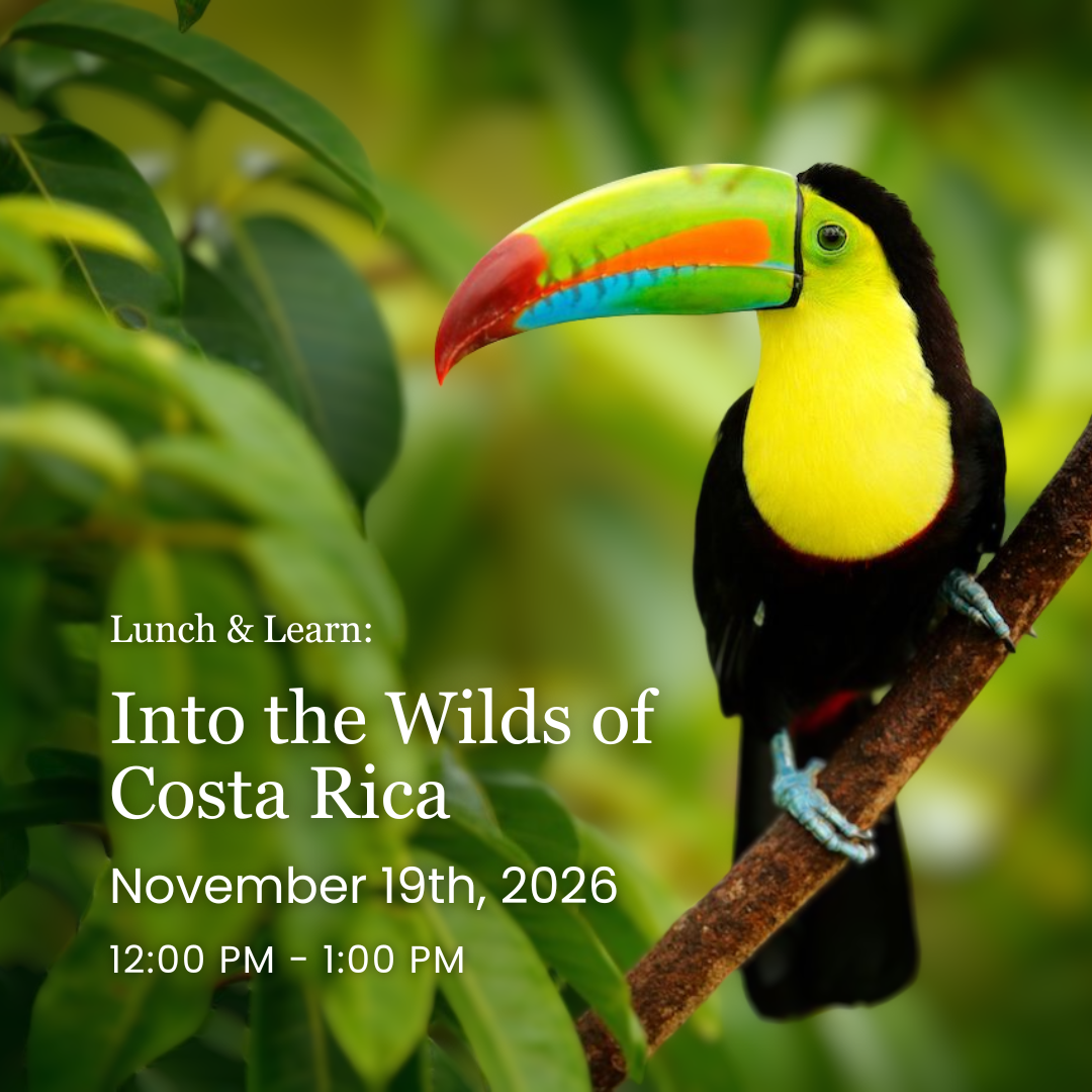 Lunch & Learn: Into the Wilds of Costa Rica