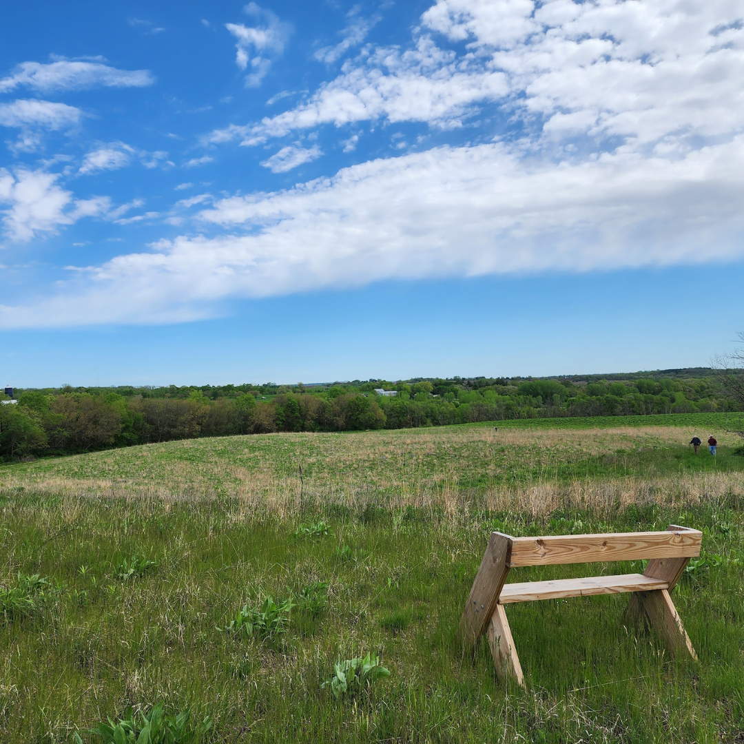 Lunch & Learn: Sunny Peace Prairie