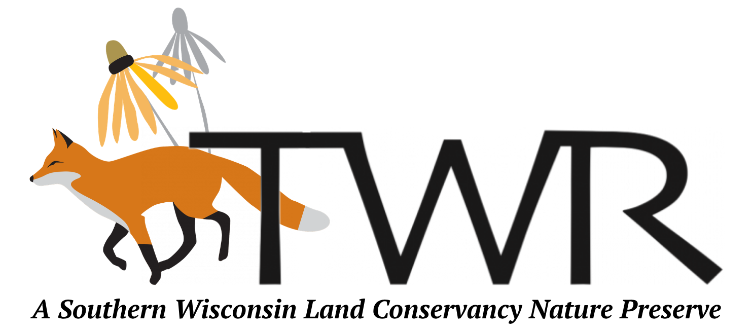 Three Waters Reserve 