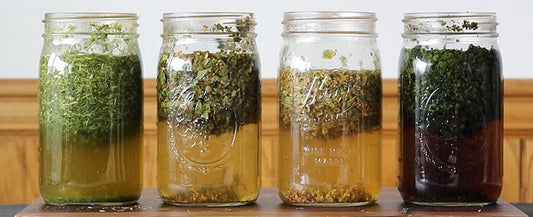 Plants as Healers: Transformative Tonics and Teas