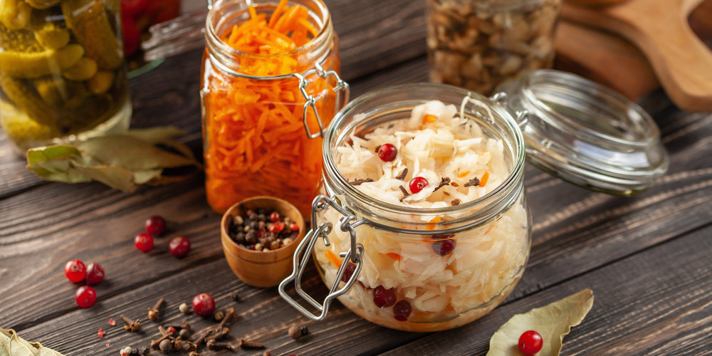Plants as Healers: Healing with Fermented Foods